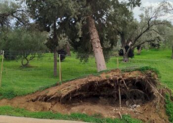 Κεραμούτσι: Ζητούν να κηρυχθεί η περιοχή σε κατάσταση έκτακτης ανάγκης λόγω της χθεσινής θεομηνίας (φωτογραφίες)